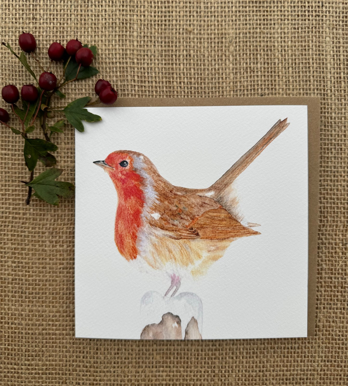Robin Greeting Card, Christmas Card, Blank Inside