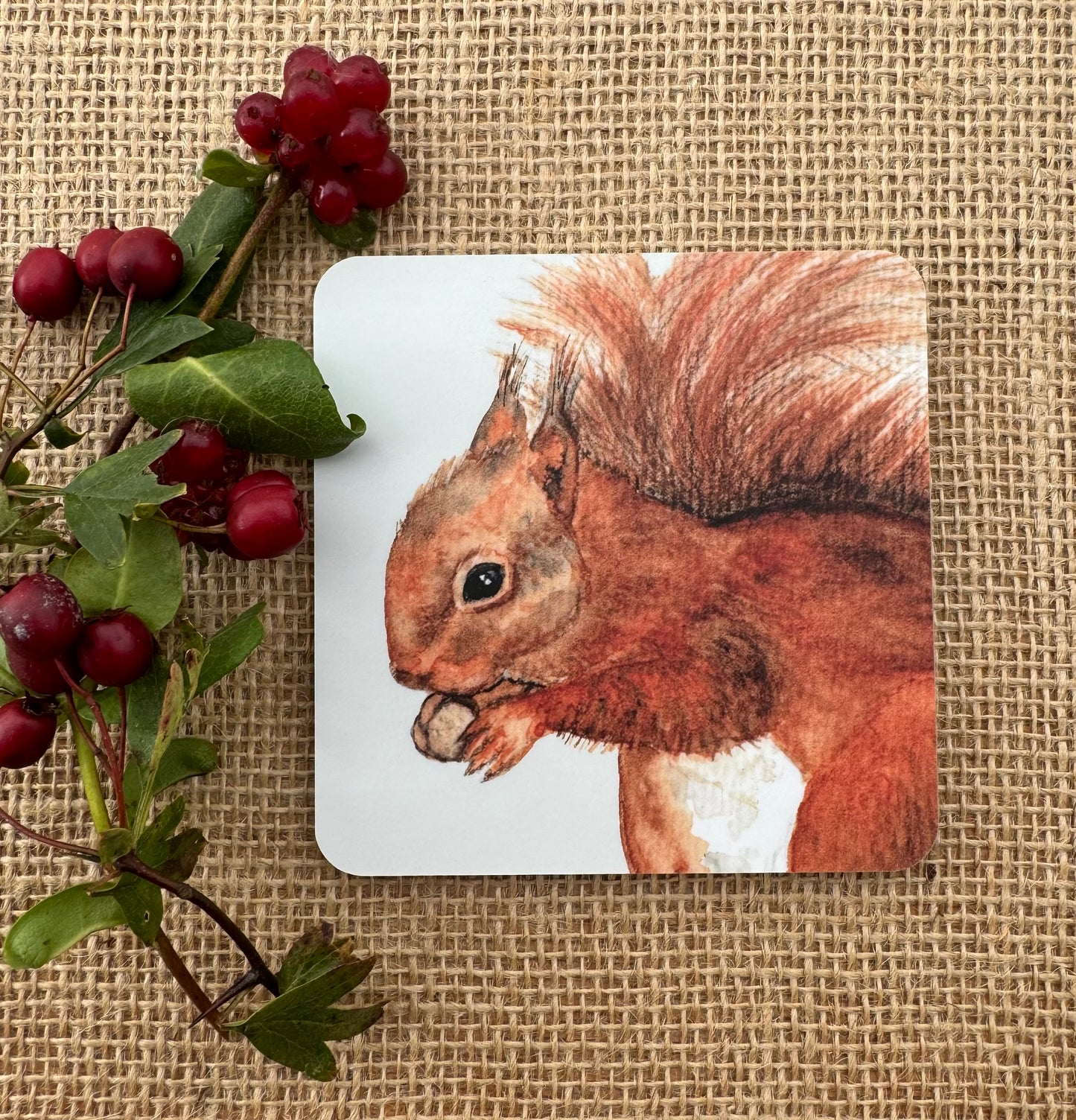 Red Squirrel Coaster