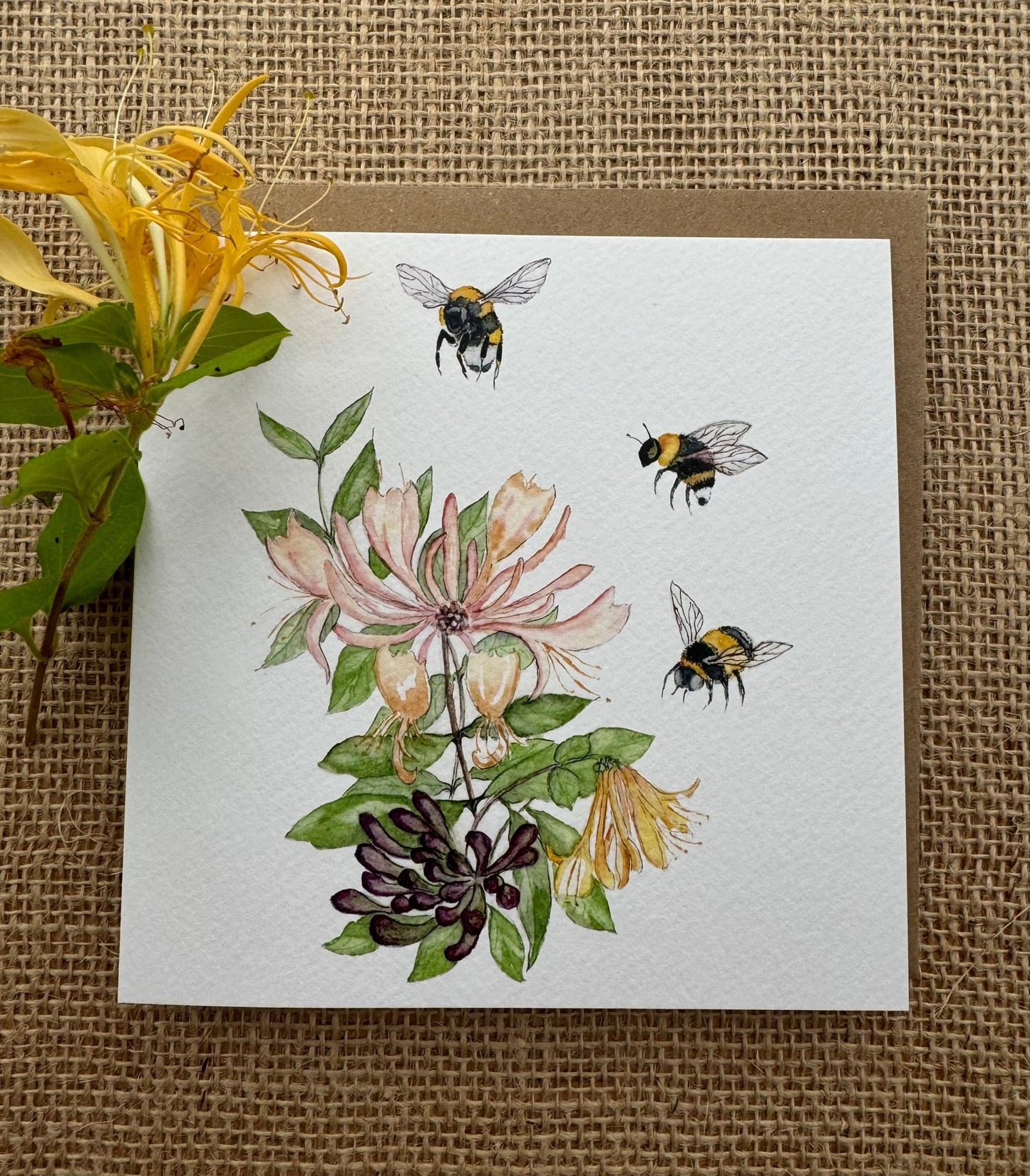 Bees and Honeysuckle Greeting Card, Bee Card, Blank Inside, Wildlife Greeting Card - Hare and Pheasant Designs