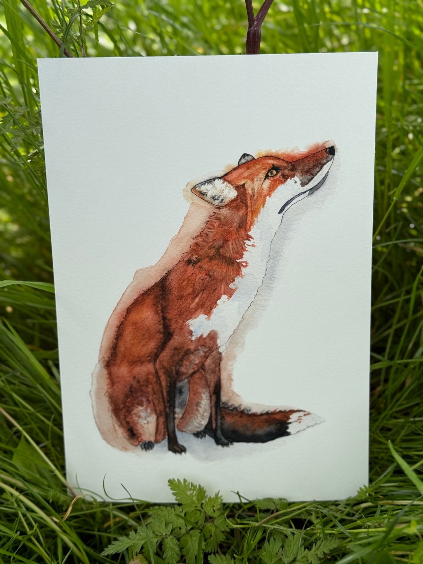 Fox Watercolour Print, Wall Art, A4, Home Gift - Hare and Pheasant Designs