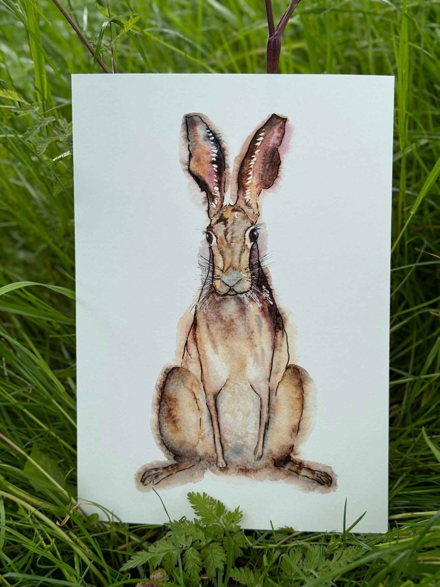 Hare Watercolour Print, Wall Art, A4, Home Gift - Hare and Pheasant Designs