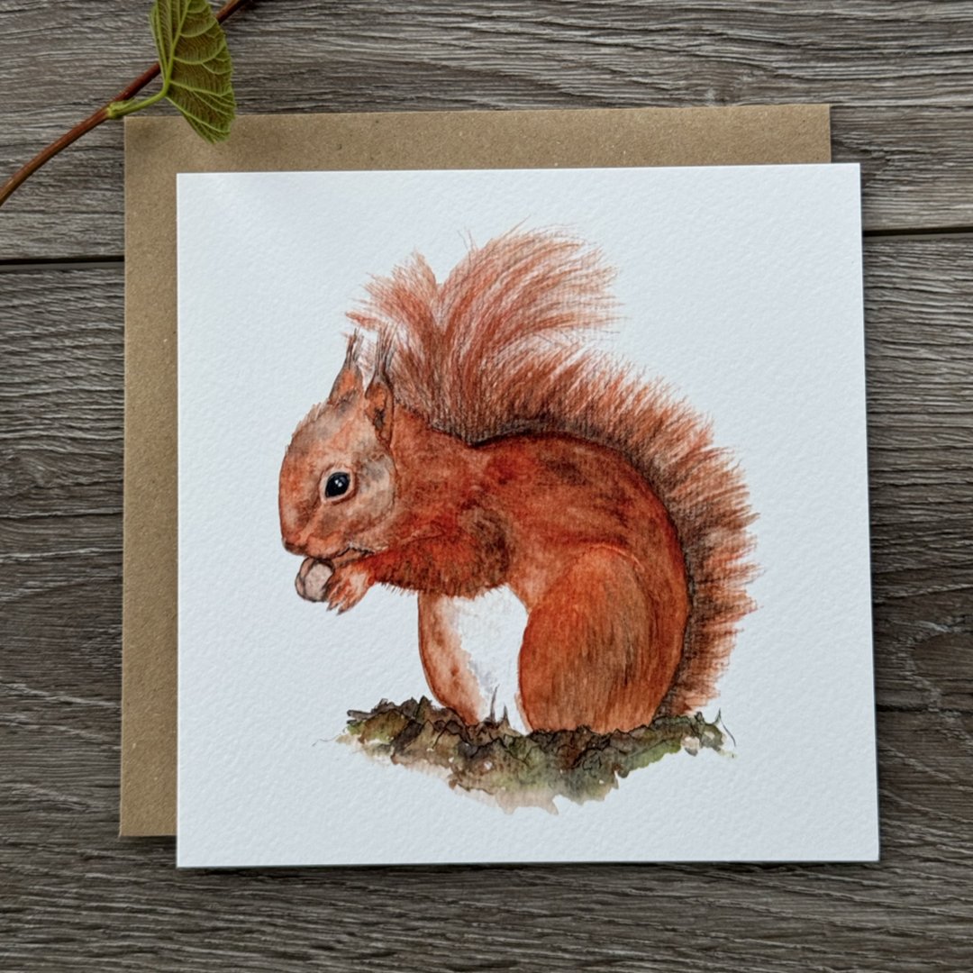 Red Squirrel Greeting Card, Red Squirrel Card, Blank Inside, Wildlife Greeting Card, Nature Greeting Card - Hare and Pheasant Designs