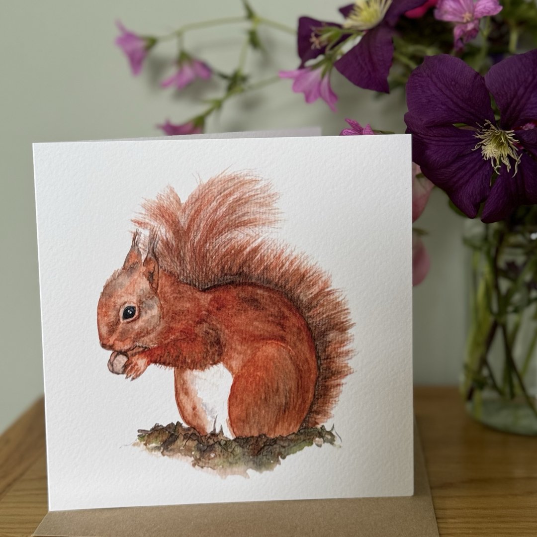 Red Squirrel Greeting Card, Red Squirrel Card, Blank Inside, Wildlife Greeting Card, Nature Greeting Card - Hare and Pheasant Designs