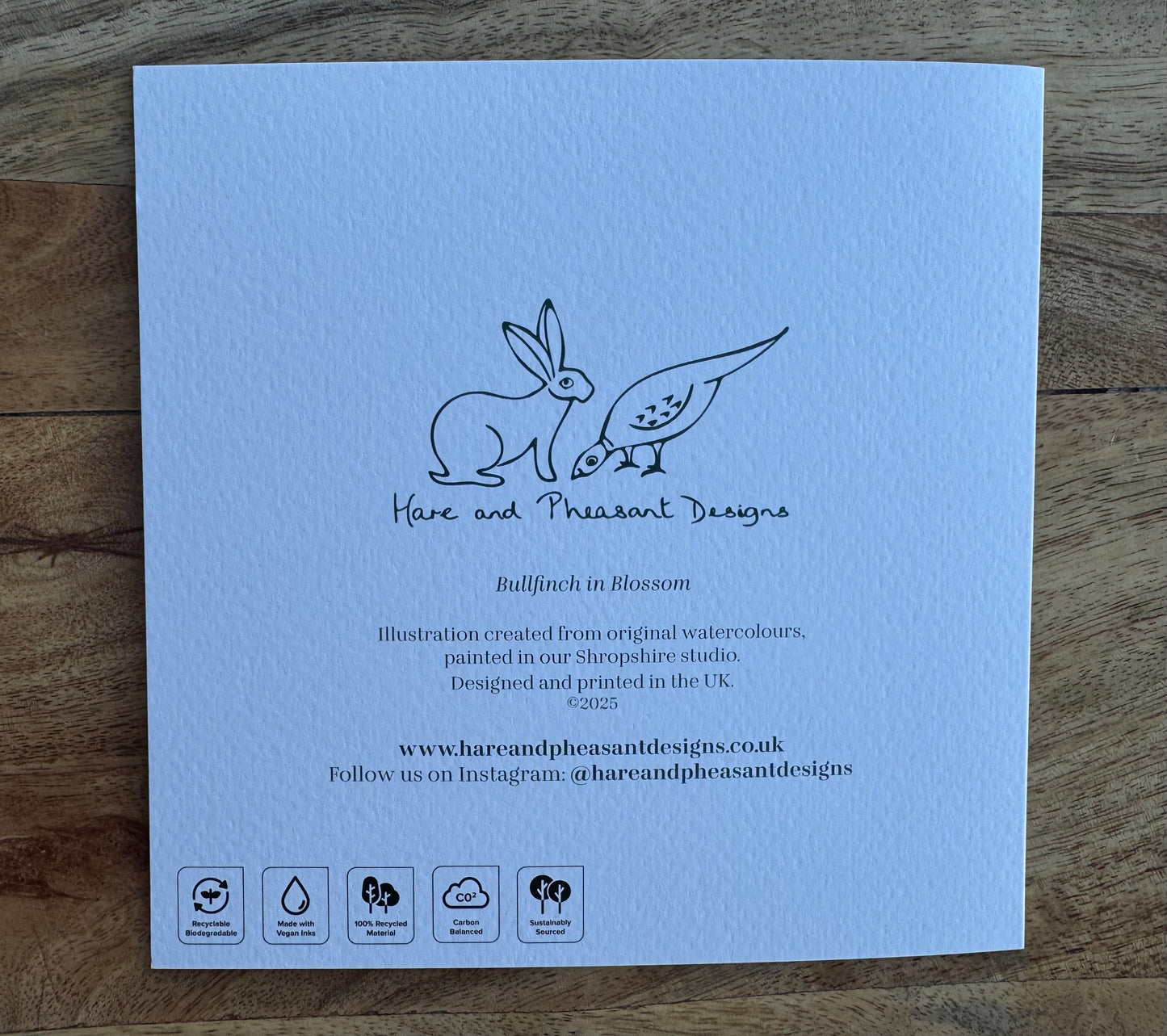 Bullfinch and Blossom Greeting Card, Blank Inside, Bird Greeting Card